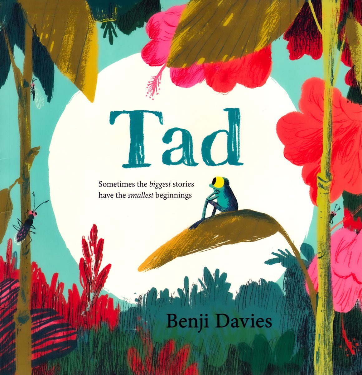 Tad — Benji Davies, обложка детской книги на английском