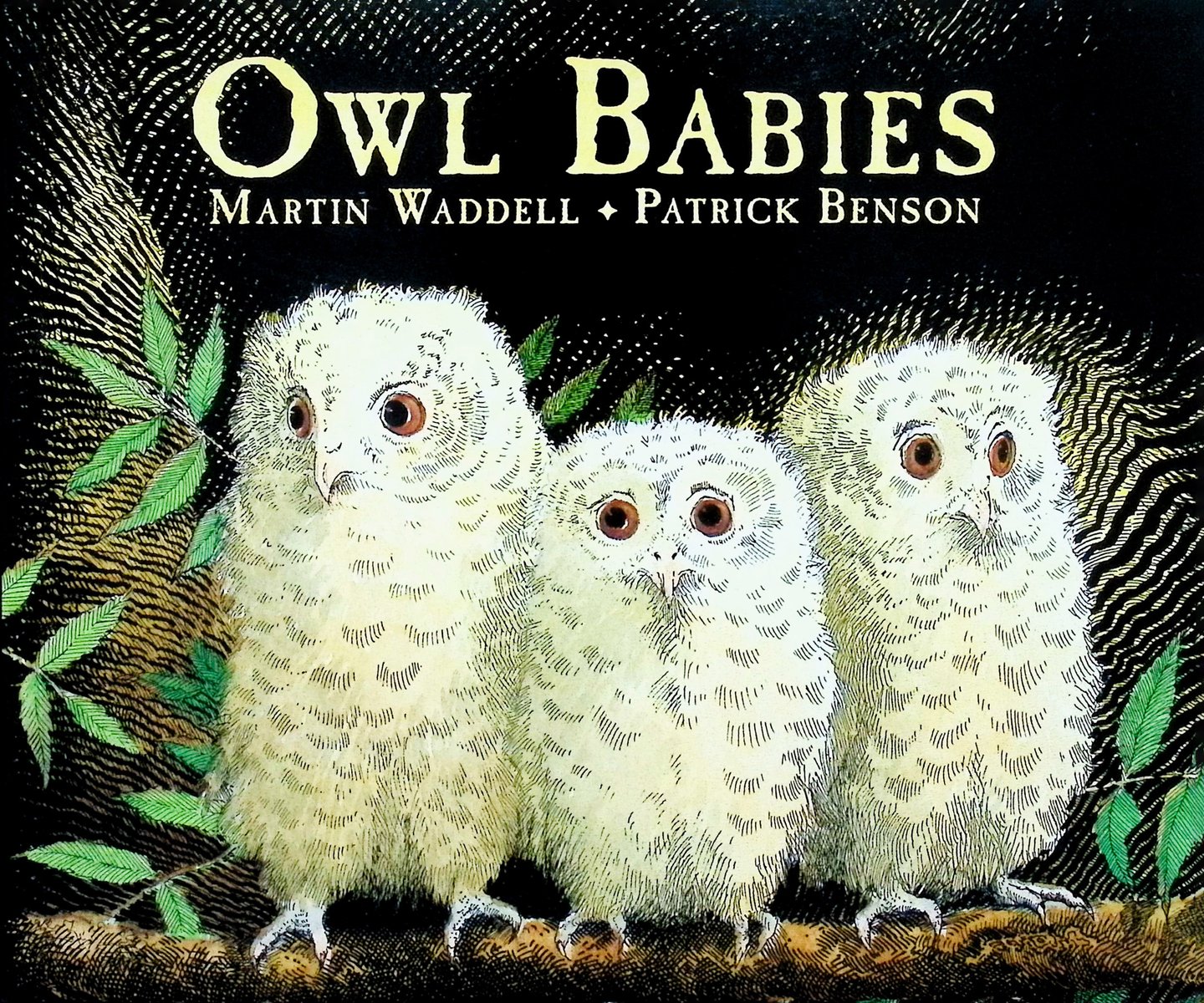 Owl Babies — Martin Waddell, обложка детской книги на английском