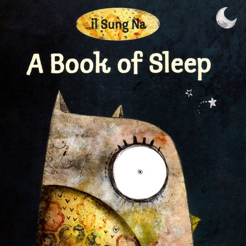 A Book of Sleep — il Sung Na